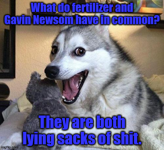 @ Lying Bags of Crap | What do fertilizer and Gavin Newsom have in common? They are both lying sacks of shit. | image tagged in pun dog punchline | made w/ Imgflip meme maker