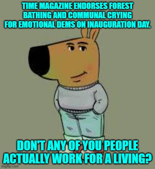 Just wondering. | TIME MAGAZINE ENDORSES FOREST BATHING AND COMMUNAL CRYING FOR EMOTIONAL DEMS ON INAUGURATION DAY. DON'T ANY OF YOU PEOPLE ACTUALLY WORK FOR A LIVING? | image tagged in low key just a chill guy | made w/ Imgflip meme maker