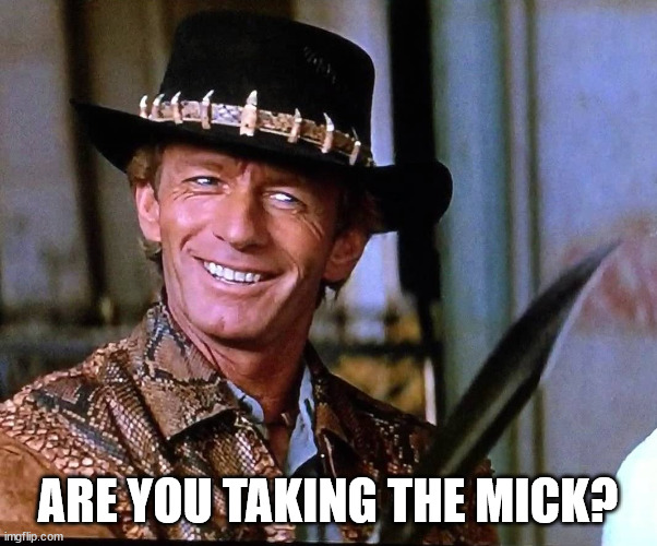 Croc Dundee | ARE YOU TAKING THE MICK? | image tagged in croc dundee | made w/ Imgflip meme maker