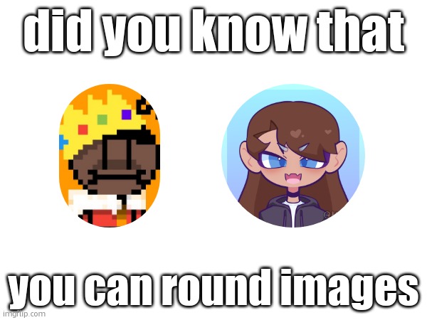 did you know that; you can round images | made w/ Imgflip meme maker