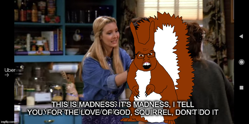 This is madness | THIS IS MADNESS. IT'S MADNESS, I TELL
YOU. FOR THE LOVE OF GOD, SQUIRREL, DON'T DO IT | image tagged in this is madness | made w/ Imgflip meme maker