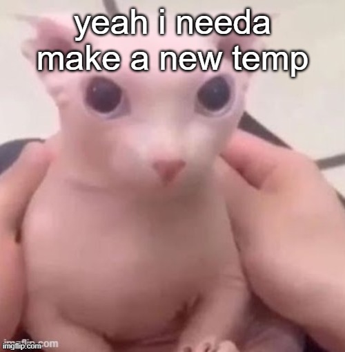 bingus | yeah i needa make a new temp | image tagged in bingus | made w/ Imgflip meme maker