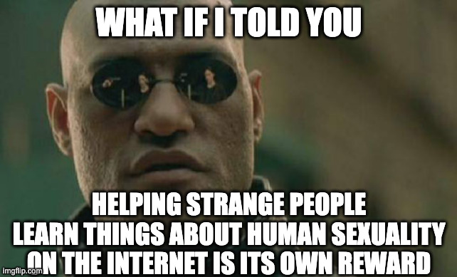 Matrix Morpheus Meme | WHAT IF I TOLD YOU; HELPING STRANGE PEOPLE LEARN THINGS ABOUT HUMAN SEXUALITY ON THE INTERNET IS ITS OWN REWARD | image tagged in memes,matrix morpheus | made w/ Imgflip meme maker