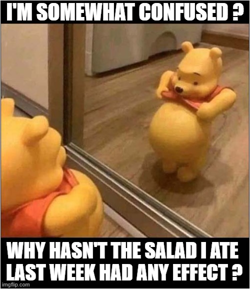 Relatable ? | I'M SOMEWHAT CONFUSED ? WHY HASN'T THE SALAD I ATE
 LAST WEEK HAD ANY EFFECT ? | image tagged in winnie the pooh,salad,diet,fail | made w/ Imgflip meme maker