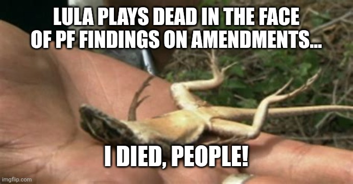 Lula | LULA PLAYS DEAD IN THE FACE OF PF FINDINGS ON AMENDMENTS…; I DIED, PEOPLE! | image tagged in political meme | made w/ Imgflip meme maker
