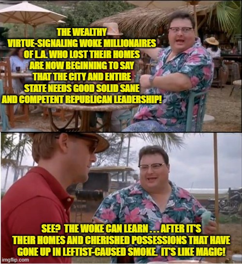 All it really takes is for your destructive leftist policies to come home to roost.  Isn't that nice? | THE WEALTHY VIRTUE-SIGNALING WOKE MILLIONAIRES OF L.A. WHO LOST THEIR HOMES ARE NOW BEGINNING TO SAY THAT THE CITY AND ENTIRE STATE NEEDS GOOD SOLID SANE AND COMPETENT REPUBLICAN LEADERSHIP! SEE?  THE WOKE CAN LEARN . . . AFTER IT'S THEIR HOMES AND CHERISHED POSSESSIONS THAT HAVE GONE UP IN LEFTIST-CAUSED SMOKE.  IT'S LIKE MAGIC! | image tagged in apparently some do care | made w/ Imgflip meme maker