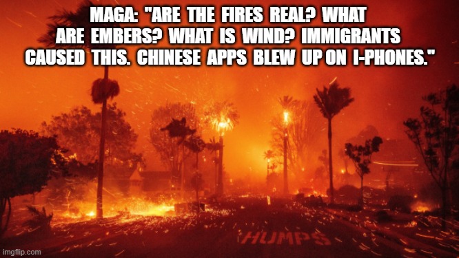 If I Don't Like the News, It's Fake | MAGA:  "ARE  THE  FIRES  REAL?  WHAT  ARE  EMBERS?  WHAT  IS  WIND?  IMMIGRANTS  CAUSED  THIS.  CHINESE  APPS  BLEW  UP ON  I-PHONES." | image tagged in california fires | made w/ Imgflip meme maker