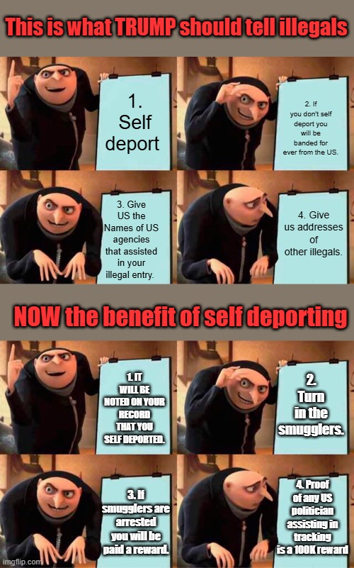 Illegals are already self deporting, Trump needs to give them a incentive to get more to self deport.Dems used these people. | This is what TRUMP should tell illegals; 1. Self deport; 2. If you don't self deport you will be banded for ever from the US. 3. Give US the Names of US agencies that assisted in your illegal entry. 4. Give us addresses of other illegals. NOW the benefit of self deporting; 2. Turn in the smugglers. 1. IT WILL BE NOTED ON YOUR RECORD THAT YOU SELF DEPORTED. 4. Proof of any US politician assisting in tracking is a 100K reward; 3. If smugglers are arrested you will be paid a reward. | image tagged in memes,gru's plan | made w/ Imgflip meme maker