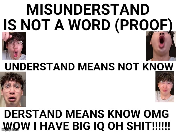 Im sorry if this makes sense | MISUNDERSTAND IS NOT A WORD (PROOF); UNDERSTAND MEANS NOT KNOW; DERSTAND MEANS KNOW OMG WOW I HAVE BIG IQ OH SHIT!!!!!! | image tagged in 7 elevenz,understand | made w/ Imgflip meme maker