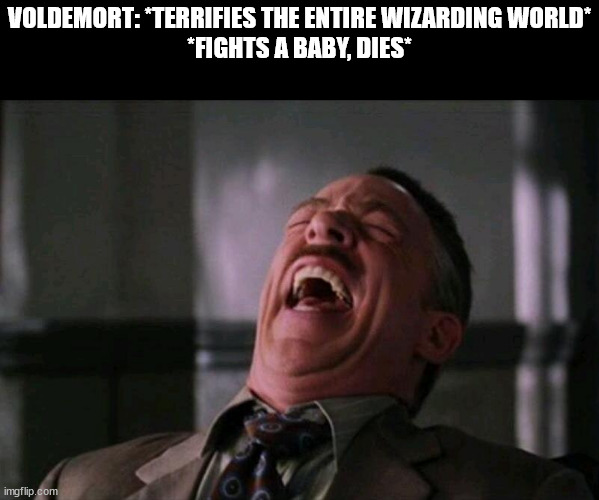 laughing hard | VOLDEMORT: *TERRIFIES THE ENTIRE WIZARDING WORLD*
*FIGHTS A BABY, DIES* | image tagged in laughing hard | made w/ Imgflip meme maker