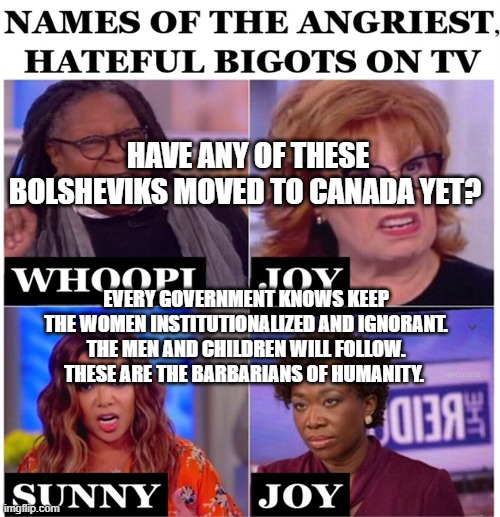 Whoopi, Joy, Sunny & Joy | HAVE ANY OF THESE BOLSHEVIKS MOVED TO CANADA YET? EVERY GOVERNMENT KNOWS KEEP THE WOMEN INSTITUTIONALIZED AND IGNORANT. THE MEN AND CHILDREN WILL FOLLOW. THESE ARE THE BARBARIANS OF HUMANITY. | image tagged in whoopi joy sunny joy | made w/ Imgflip meme maker