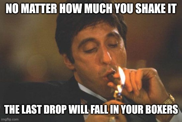 Scarface Serious | NO MATTER HOW MUCH YOU SHAKE IT; THE LAST DROP WILL FALL IN YOUR BOXERS | image tagged in scarface serious | made w/ Imgflip meme maker