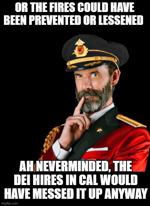 captain obvious | OR THE FIRES COULD HAVE BEEN PREVENTED OR LESSENED AH NEVERMINDED, THE DEI HIRES IN CAL WOULD HAVE MESSED IT UP ANYWAY | image tagged in captain obvious | made w/ Imgflip meme maker