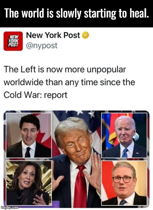 The far-wrong (leftists) are losing elections, propaganda and their illusions of a utopia globally. Gradually... | The world is slowly starting to heal. | image tagged in lets gooooo | made w/ Imgflip meme maker