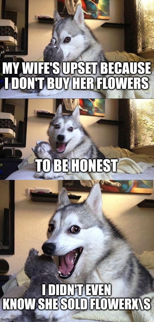 bah tum tss | MY WIFE'S UPSET BECAUSE I DON'T BUY HER FLOWERS; TO BE HONEST; I DIDN'T EVEN KNOW SHE SOLD FLOWERX\S | image tagged in memes,bad pun dog | made w/ Imgflip meme maker