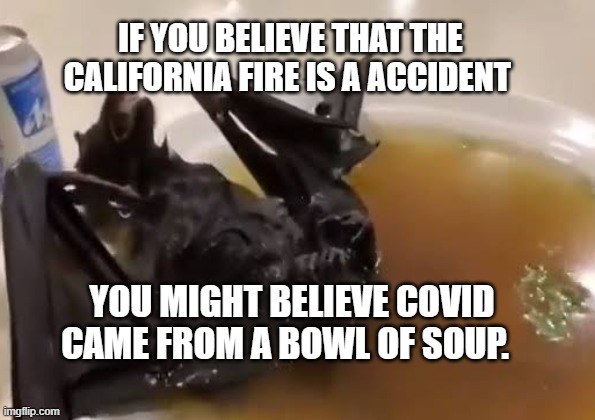 Bat soup | IF YOU BELIEVE THAT THE CALIFORNIA FIRE IS A ACCIDENT; YOU MIGHT BELIEVE COVID CAME FROM A BOWL OF SOUP. | image tagged in bat soup | made w/ Imgflip meme maker