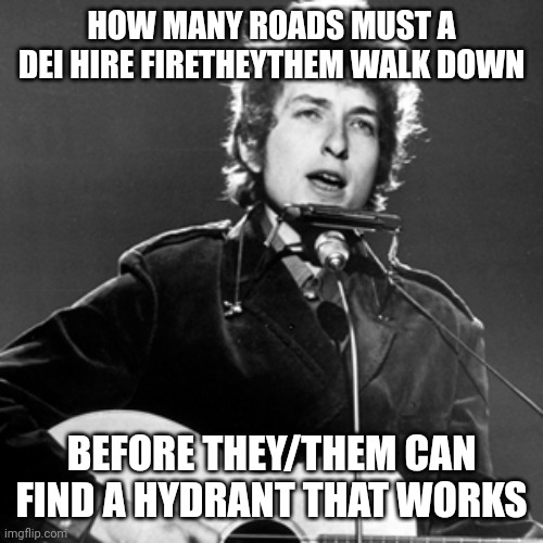 Bob Dylan | HOW MANY ROADS MUST A DEI HIRE FIRETHEYTHEM WALK DOWN BEFORE THEY/THEM CAN FIND A HYDRANT THAT WORKS | image tagged in bob dylan | made w/ Imgflip meme maker