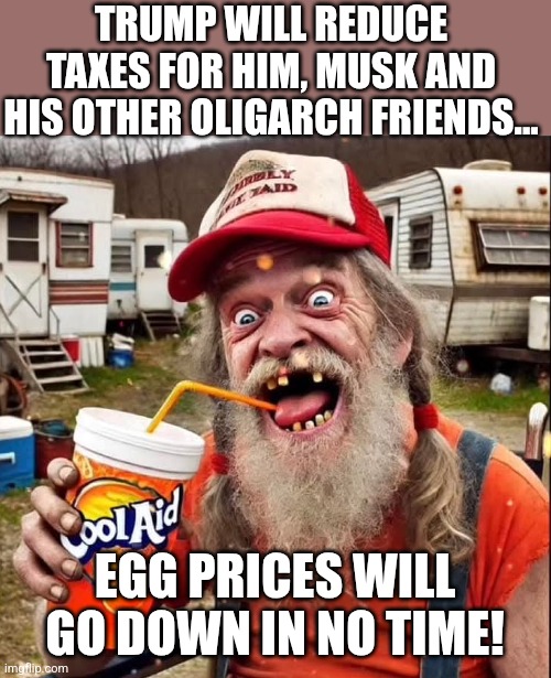 No taxes for my friends! | TRUMP WILL REDUCE TAXES FOR HIM, MUSK AND HIS OTHER OLIGARCH FRIENDS... EGG PRICES WILL GO DOWN IN NO TIME! | image tagged in donald trump,trump,maga,nevertrump,nevertrump meme,conservative | made w/ Imgflip meme maker