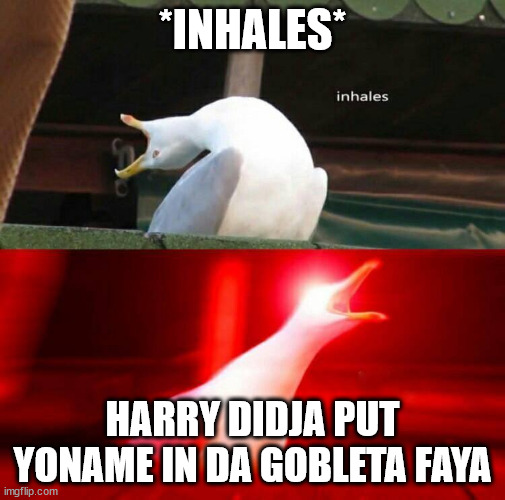 Inhaling Seagull  | *INHALES*; HARRY DIDJA PUT YONAME IN DA GOBLETA FAYA | image tagged in inhaling seagull | made w/ Imgflip meme maker