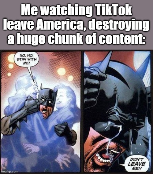 THIS CAN'T BE | Me watching TikTok leave America, destroying a huge chunk of content: | image tagged in batman don't leave me,tiktok | made w/ Imgflip meme maker