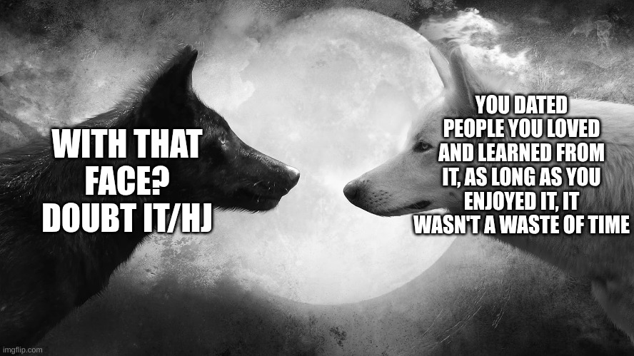 You have two wolves | YOU DATED PEOPLE YOU LOVED AND LEARNED FROM IT, AS LONG AS YOU ENJOYED IT, IT WASN'T A WASTE OF TIME WITH THAT FACE? DOUBT IT/HJ | image tagged in you have two wolves | made w/ Imgflip meme maker