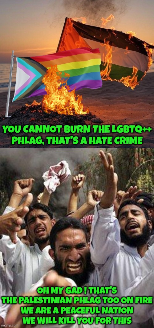 Same feeling for both if you can do it to other flags | YOU CANNOT BURN THE LGBTQ++ PHLAG, THAT'S A HATE CRIME; OH MY GAD ! THAT'S THE PALESTINIAN PHLAG TOO ON FIRE
WE ARE A PEACEFUL NATION
WE WILL KILL YOU FOR THIS | image tagged in angry muslim | made w/ Imgflip meme maker