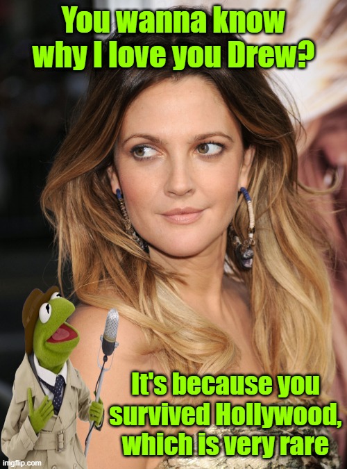 Dedicated to the girl of my dreams | You wanna know why I love you Drew? It's because you survived Hollywood, which is very rare | image tagged in drew barrymore,kermit the frog,hollywood,child abuse | made w/ Imgflip meme maker