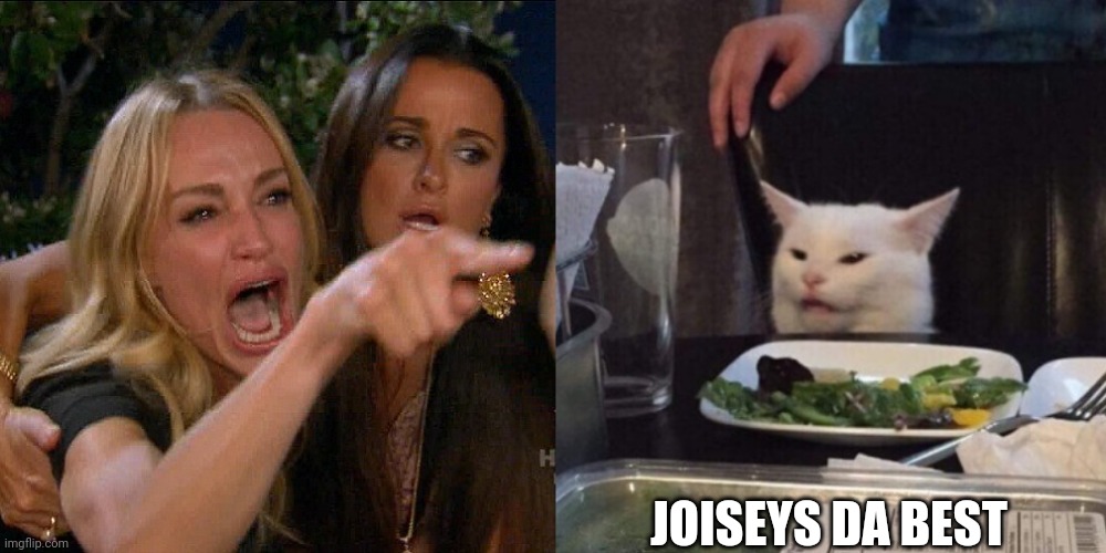 Woman yelling at cat | JOISEYS DA BEST | image tagged in woman yelling at cat | made w/ Imgflip meme maker