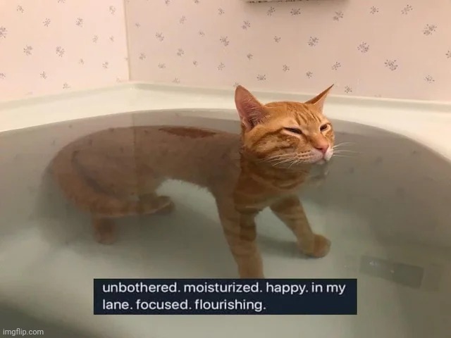 Me when someone asks me how am i | image tagged in unbothered cat | made w/ Imgflip meme maker