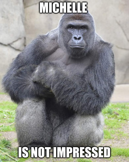 Harambe | MICHELLE IS NOT IMPRESSED | image tagged in harambe | made w/ Imgflip meme maker