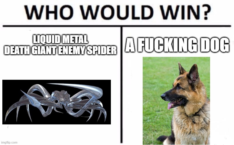 Who Would Win? Meme | LIQUID METAL DEATH GIANT ENEMY SPIDER; A FUCKING DOG | image tagged in memes,who would win,mortal kombat,mk,terminator 2,terminator | made w/ Imgflip meme maker