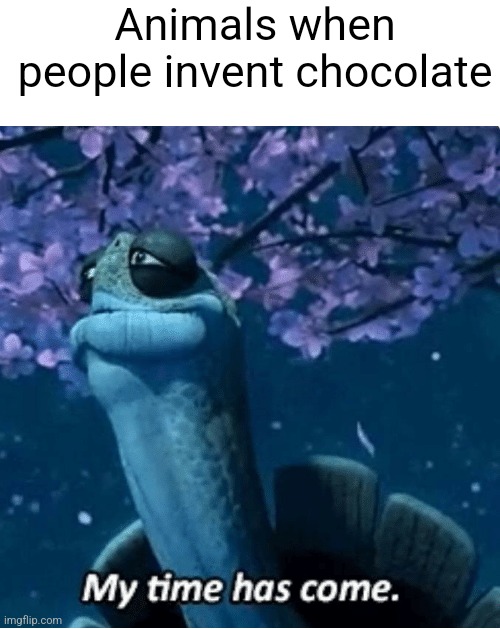 My Time Has Come | Animals when people invent chocolate | image tagged in my time has come | made w/ Imgflip meme maker