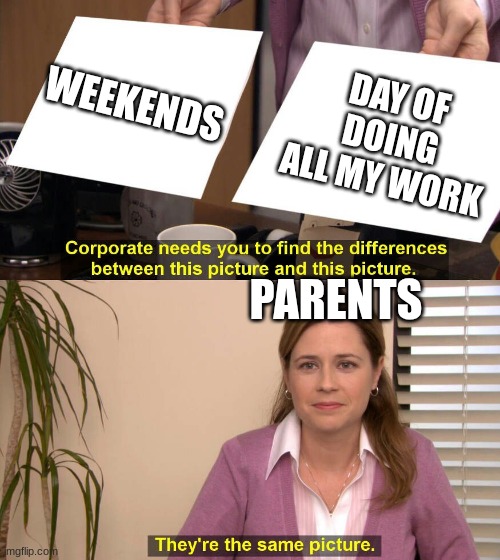 They are the same picture | WEEKENDS; DAY OF DOING ALL MY WORK; PARENTS | image tagged in they are the same picture | made w/ Imgflip meme maker