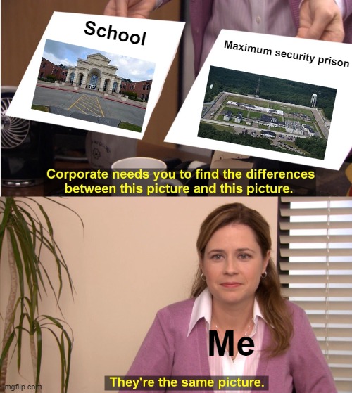 It's true | School; Maximum security prison; Me | image tagged in memes,they're the same picture | made w/ Imgflip meme maker