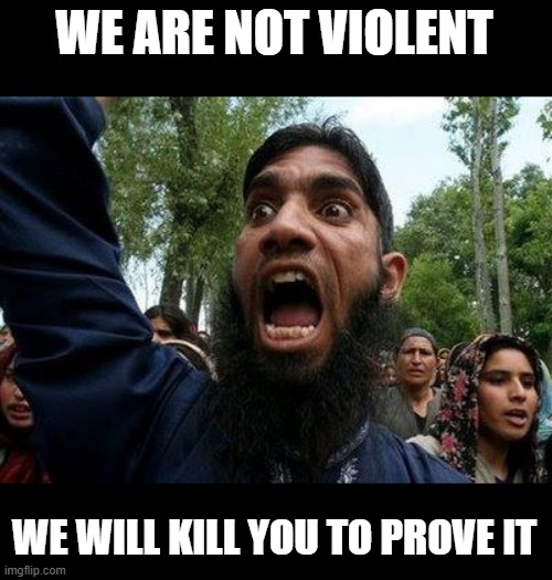 Angry Muslim | WE ARE NOT VIOLENT WE WILL KILL YOU TO PROVE IT | image tagged in angry muslim | made w/ Imgflip meme maker