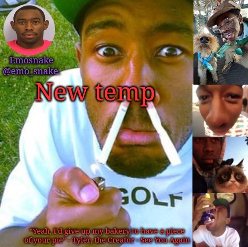 Emosnake's Tyler the Creator temp | New temp | image tagged in emosnake's tyler the creator temp | made w/ Imgflip meme maker