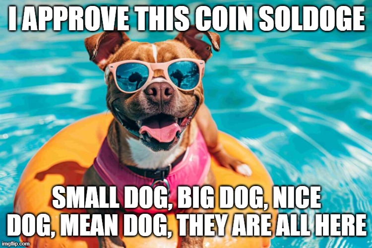 SOLDOGE - $SOLD | I APPROVE THIS COIN SOLDOGE; SMALL DOG, BIG DOG, NICE DOG, MEAN DOG, THEY ARE ALL HERE | image tagged in funny | made w/ Imgflip meme maker