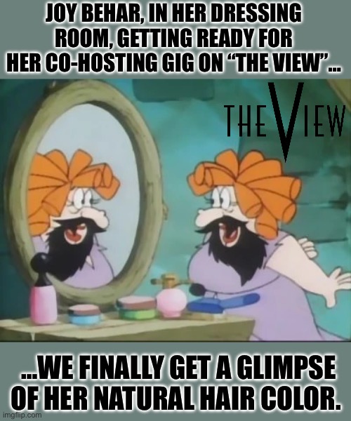 JOY BEHAR, IN HER DRESSING ROOM, GETTING READY FOR HER CO-HOSTING GIG ON “THE VIEW”…; …WE FINALLY GET A GLIMPSE OF HER NATURAL HAIR COLOR. | made w/ Imgflip meme maker