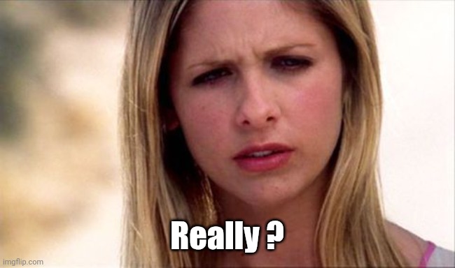 Buffy The Vampire Slayer WTF | Really ? | image tagged in buffy the vampire slayer wtf | made w/ Imgflip meme maker