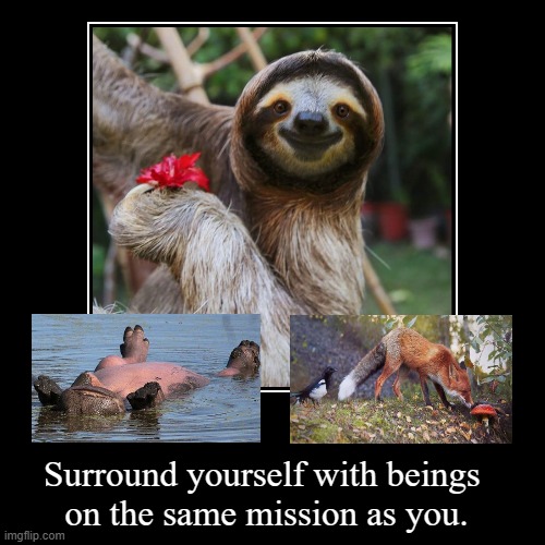 surround yourself with beings on the same mission as you | Surround yourself with beings 
on the same mission as you. | | image tagged in funny,demotivationals | made w/ Imgflip demotivational maker