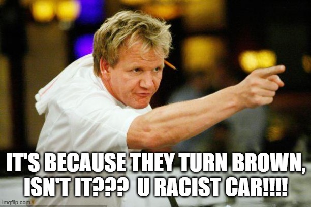 Chef Gordon Ramsay Angry Pointing | IT'S BECAUSE THEY TURN BROWN,
ISN'T IT???  U RACIST CAR!!!! | image tagged in chef gordon ramsay angry pointing | made w/ Imgflip meme maker