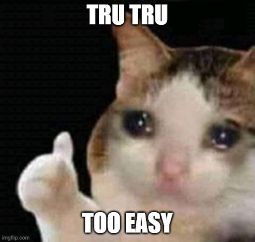 sad thumbs up cat | TRU TRU TOO EASY | image tagged in sad thumbs up cat | made w/ Imgflip meme maker