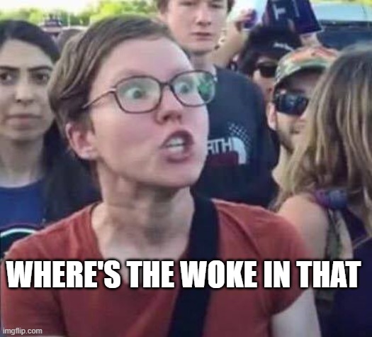 Angry Liberal | WHERE'S THE WOKE IN THAT | image tagged in angry liberal | made w/ Imgflip meme maker