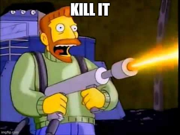 Kill it with fire | KILL IT | image tagged in kill it with fire | made w/ Imgflip meme maker