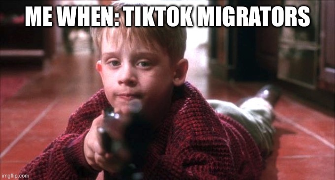 Home alone hello | ME WHEN: TIKTOK MIGRATORS | image tagged in home alone hello | made w/ Imgflip meme maker