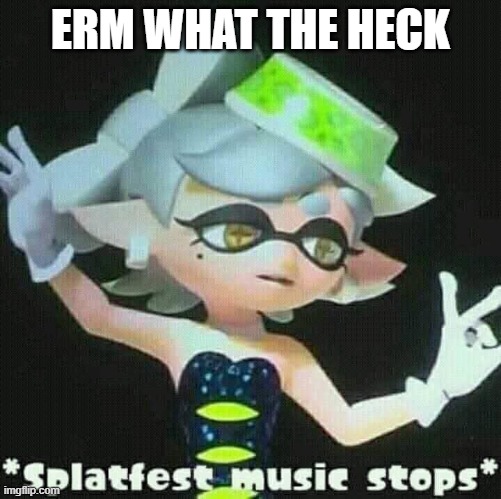 Splatfest music stops | ERM WHAT THE HECK | image tagged in splatfest music stops | made w/ Imgflip meme maker