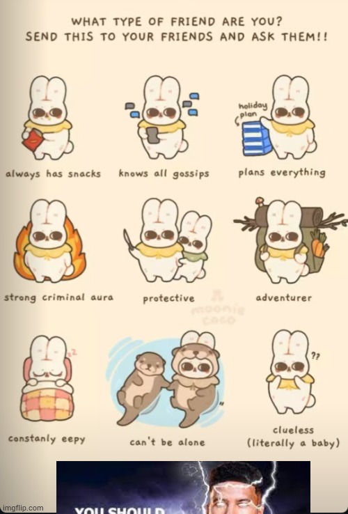 you should | image tagged in what kind of friend am i | made w/ Imgflip meme maker