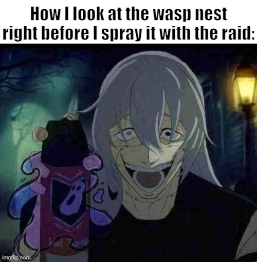 Real | How I look at the wasp nest right before I spray it with the raid: | made w/ Imgflip meme maker
