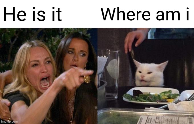 Helo | He is it; Where am i | image tagged in memes,woman yelling at cat | made w/ Imgflip meme maker