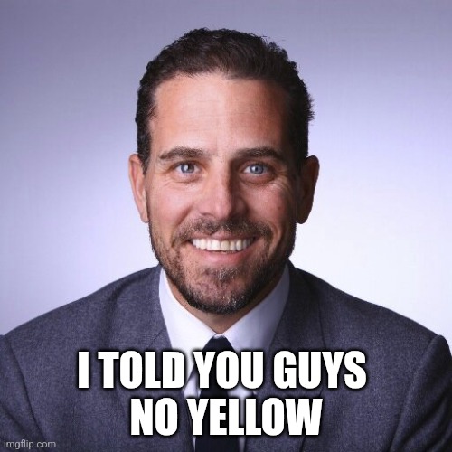 Hunter Biden | I TOLD YOU GUYS 
NO YELLOW | image tagged in hunter biden | made w/ Imgflip meme maker